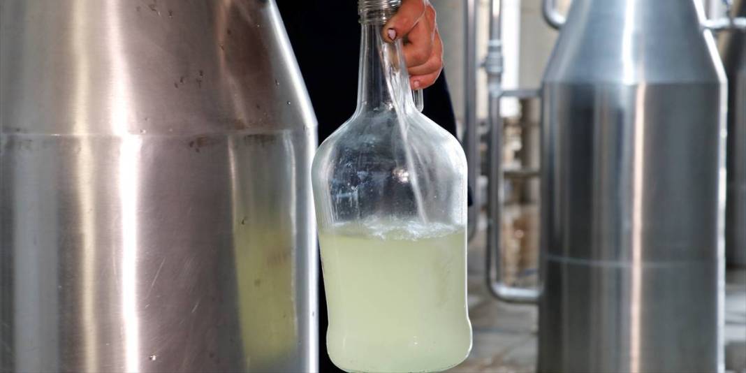 Susuzluğa direndi, verimiyle şaşırttı! Kocaeli’nde yeni sezon açıldı: Hasat ekonomiye can veriyor! 6